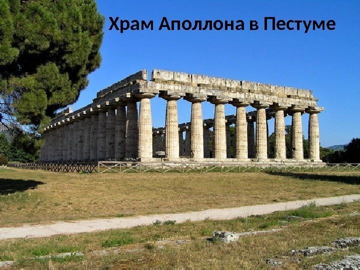 Храм Аполлона в Пестуме 
