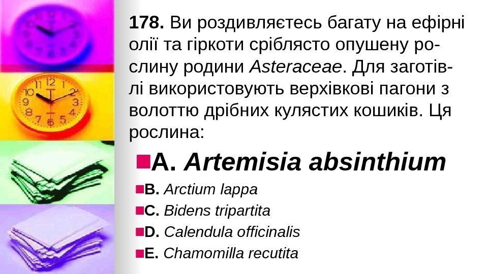 178. Ви роздивляєтесь багату на ефiрнi олiї та гiркоти срiблясто опушену ро- слину родини