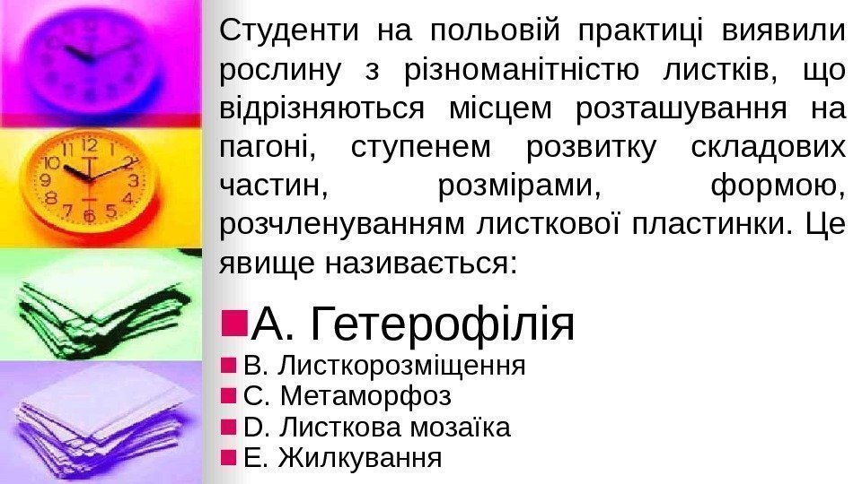 Студенти на польовiй практицi виявили рослину з рiзноманiтнiстю листкiв,  що вiдрiзняються мiсцем розташування