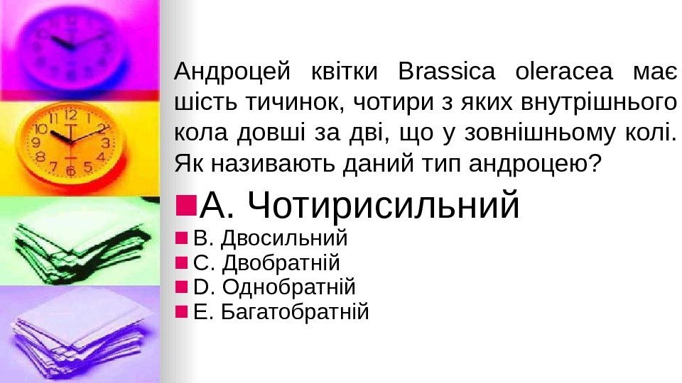 Андроцей квiтки Brassica oleracea має шiсть тичинок, чотири з яких внутрiшнього кола довшi за