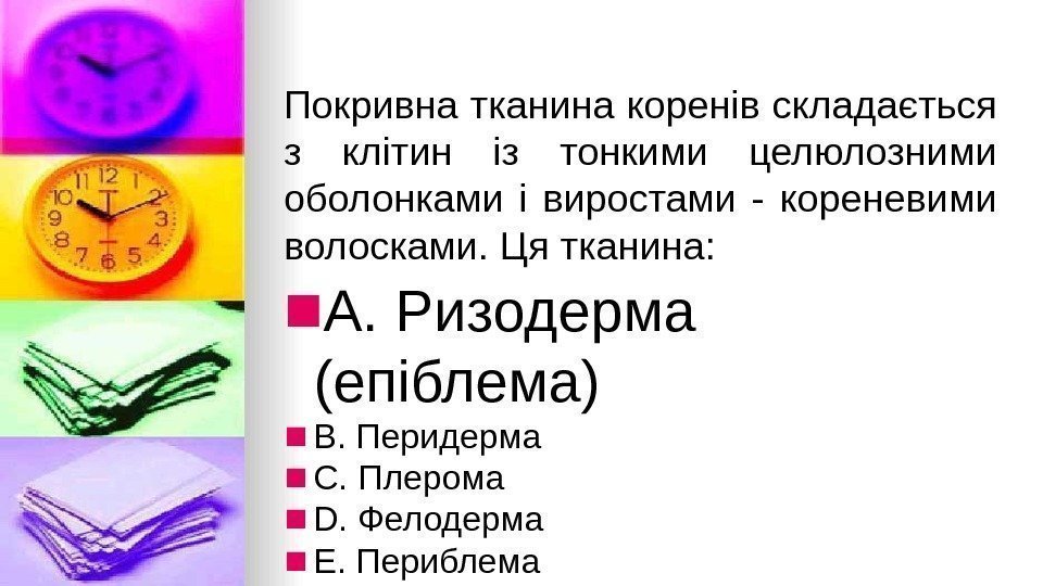 Покривна тканина коренiв складається з клiтин iз тонкими целюлозними оболонками i виростами - кореневими