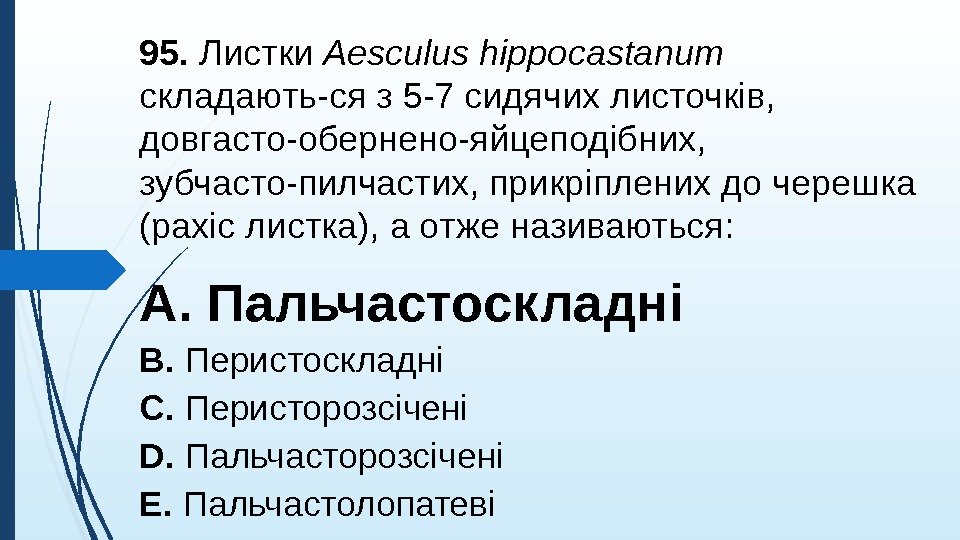 95. Листки Aesculus hippocastanum  складають-ся з 5 -7 сидячих листочкiв,  довгасто-обернено-яйцепод i