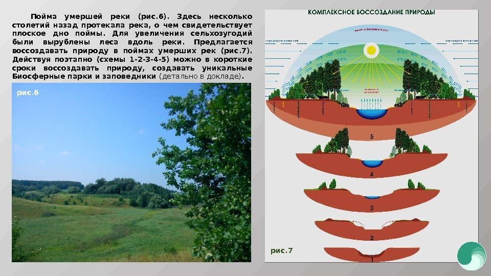 рис. 7 Пойма умершей реки (рис. 6).  Здесь несколько столетий назад протекала река,