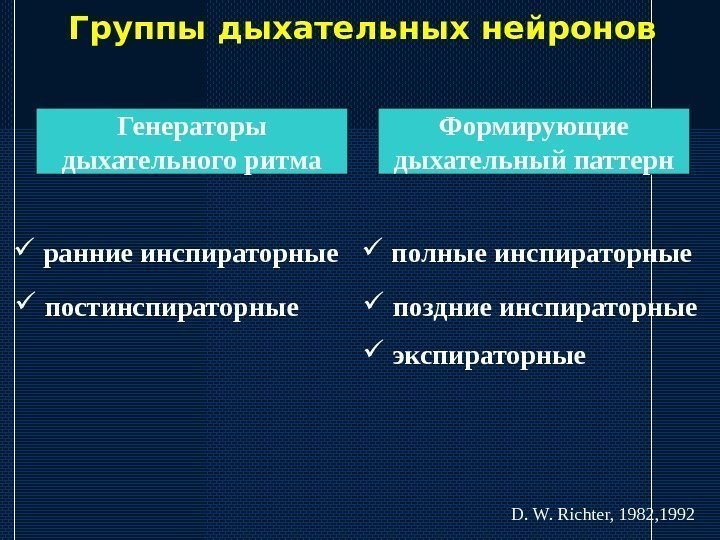   Группы дыхательных нейронов Генераторы дыхательного ритма Формирующие дыхательный паттерн  ранние инспираторные