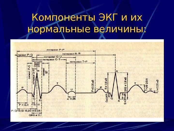   Компоненты ЭКГ и их нормальные величины:  