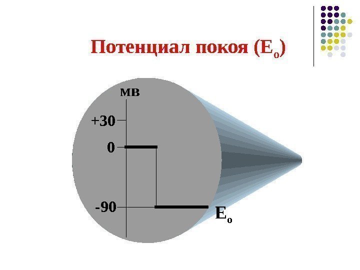   Потенциал покоя (Е о ) 0  -90+30 мв Е о 