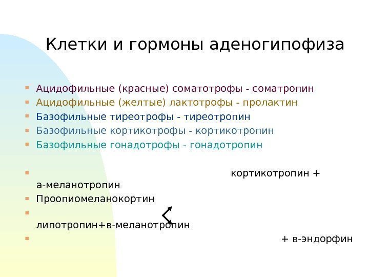 Клетки и гормоны аденогипофиза Ацидофильные (красные) соматотрофы - соматропин Ацидофильные (желтые) лактотрофы - пролактин