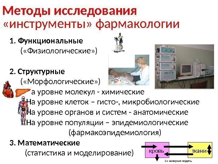 1.  Функциональные ( «Физиологические» ) 2. Структурные ( «Морфологические» ) На уровне молекул