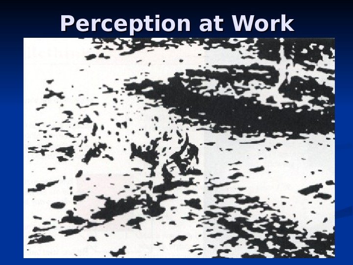 Perception at Work 