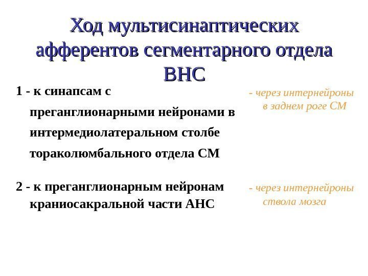   Ход мультисинаптических афферентов сегментарного отдела ВНСВНС 1 - к синапсам с преганглионарными