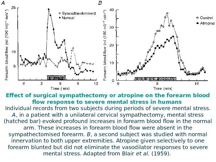  Effect of surgical sympathectomy or atropine on the forearm blood flow response