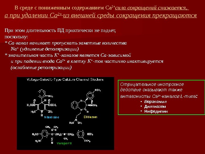 В среде с пониженным содержанием Ca 2+ сила сокращений снижается,  а при удалении