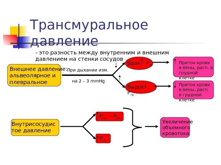   Трансмуральное давление - это разность между внутренним и внешним давлением на стенки