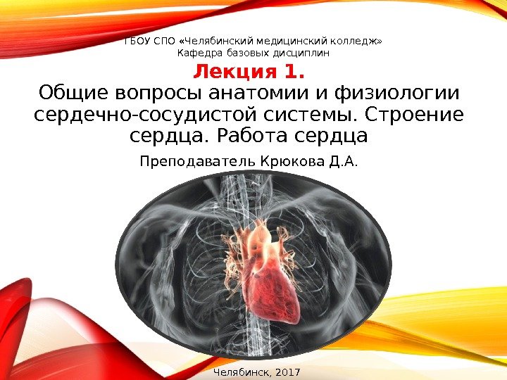 Лекция 1. Общие вопросы анатомии и физиологии сердечно-сосудистой системы. Строение сердца. Работа сердца. ГБОУ