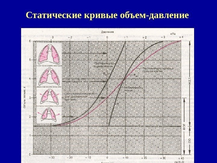   Статические кривые объем-давление 