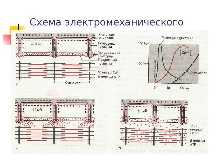 Схема электромеханического сопряжения 
