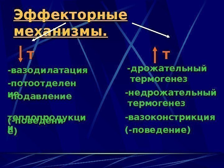   Эффекторные механизмы. Т Т ТТ -вазодилатация -потоотделен иеие -подавление теплопродукци ии (-поведени