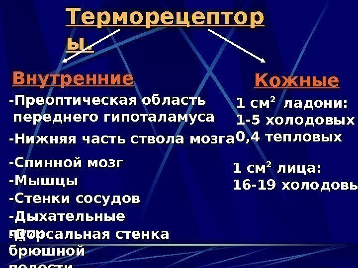   Терморецептор ы. ы. Внутренние Кожные  -Преоптическая область  переднего гипоталамуса -Нижняя