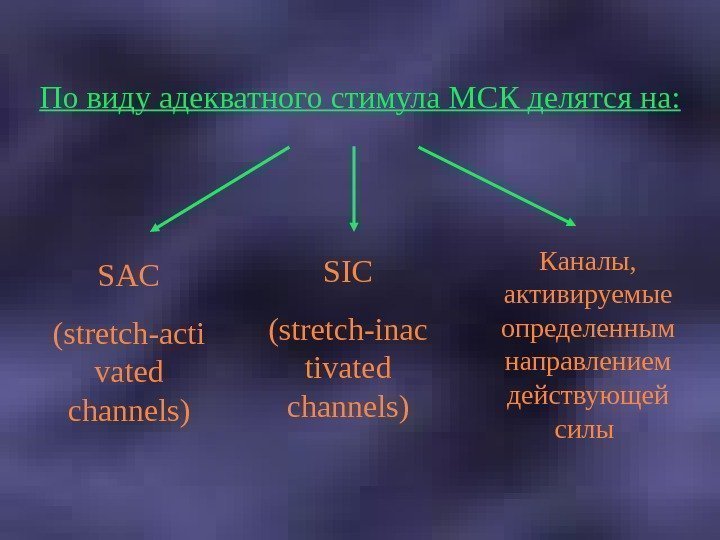   По виду адекватного стимула МСК делятся на: SAC (stretch-acti vated channels) SIC