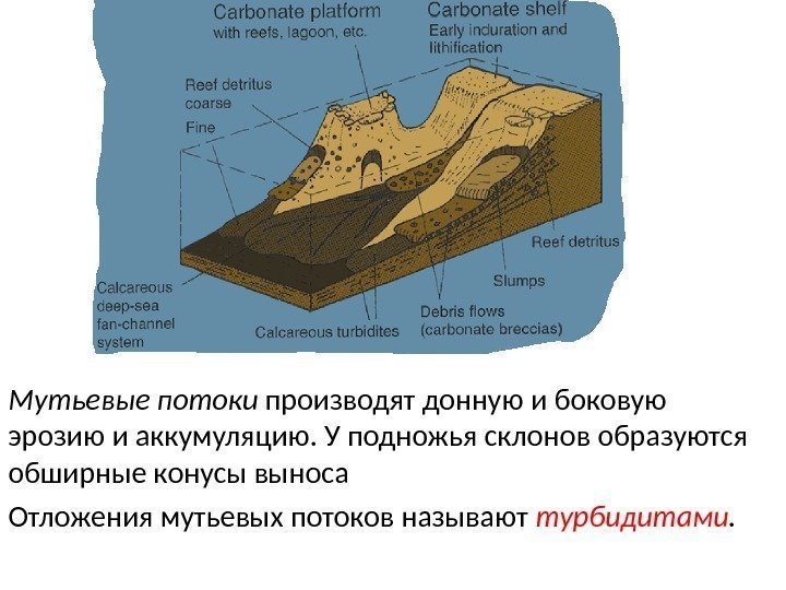 Мутьевые потоки производят донную и боковую эрозию и аккумуляцию. У подножья склонов образуются обширные