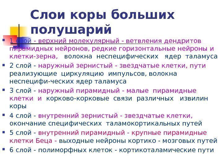   Слои коры больших полушарий 1 слой - верхний молекулярный - ветвления дендритов