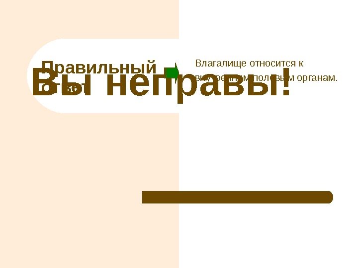 Вы неправы! Влагалище относится к внутренним половым органам. Правильный ответ 