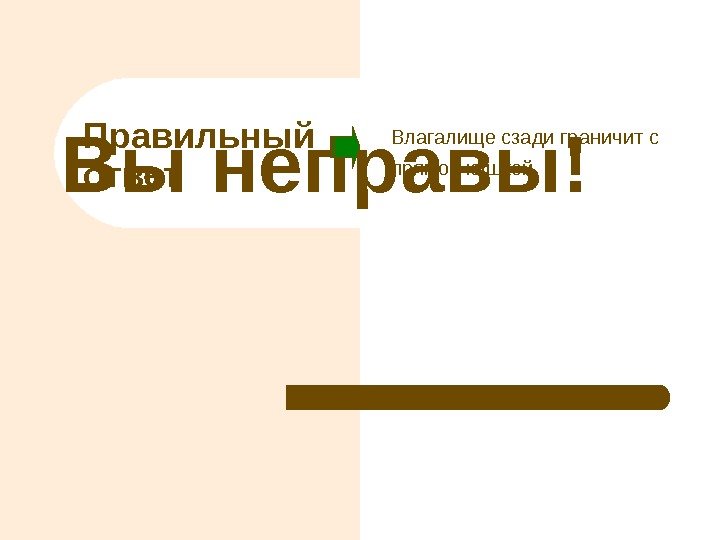 Вы неправы! Правильный ответ Влагалище сзади граничит с прямой кишкой. 