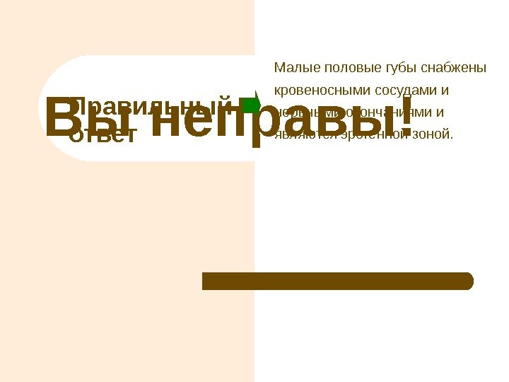 Правильный ответ. Вы неправы! Малые половые губы снабжены кровеносными сосудами и нервными окончаниями и