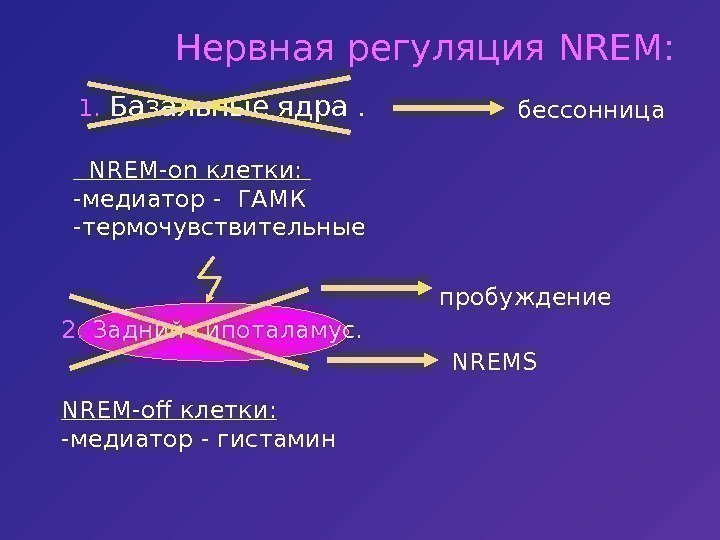   Нервная регуляция NREM : 1.  Базальные ядра. NREM-on клетки:  -медиатор