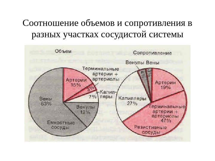   Соотношение объемов и сопротивления в разных участках сосудистой системы 