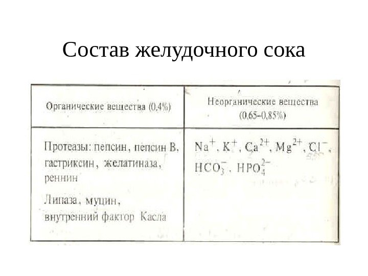   Состав желудочного сока 