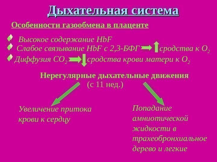   Дыхательная система Особенности газообмена в плаценте Высокое содержание Hb. F Слабое связывание