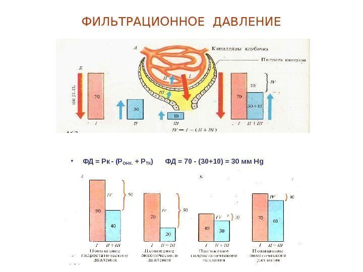   ФИЛЬТРАЦИОННОЕ ДАВЛЕНИЕ • ФД = Рк  - (Р ОНК.  +