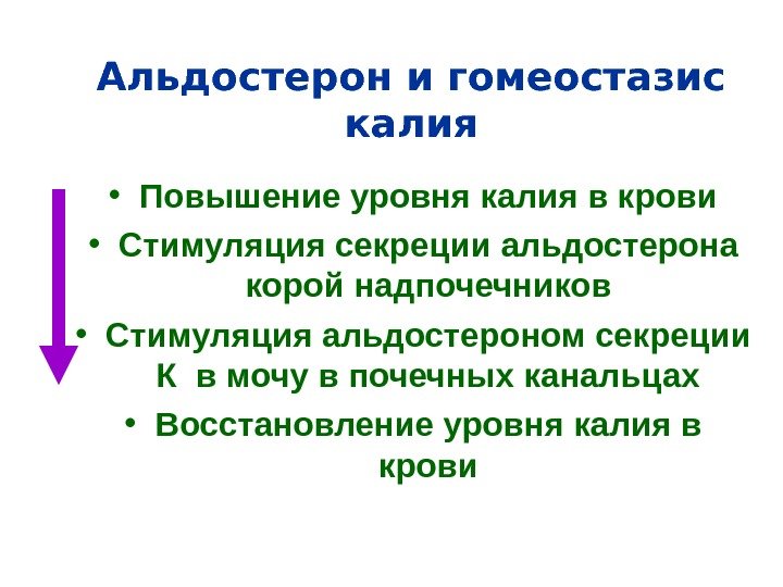   Альдостерон и гомеостазис калия • Повышение уровня калия в крови • Стимуляция