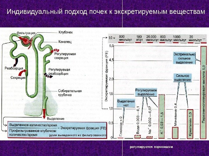 7 Индивидуальный подход почек к экскретируемым веществам регулируется гормонами(доля выведенного из фильтрованного) 