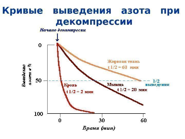   Кривые  выведения  азота  при  декомпрессии 