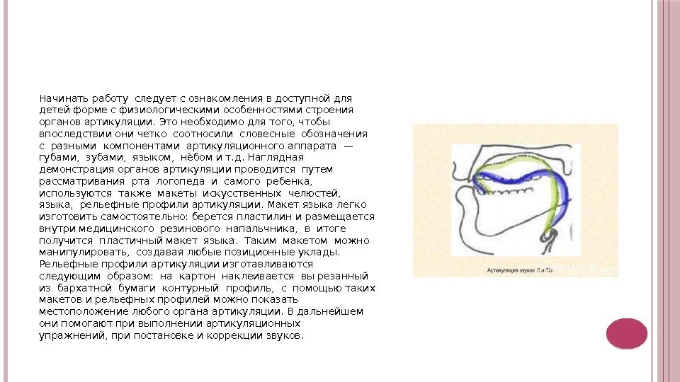 Начинать работу следует с ознакомления в доступной для детей форме с физиологическими особенностями строения