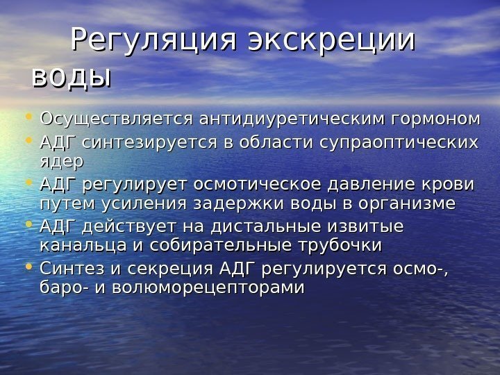   Регуляция экскреции воды • Осуществляется антидиуретическим гормоном • АДГ синтезируется в области