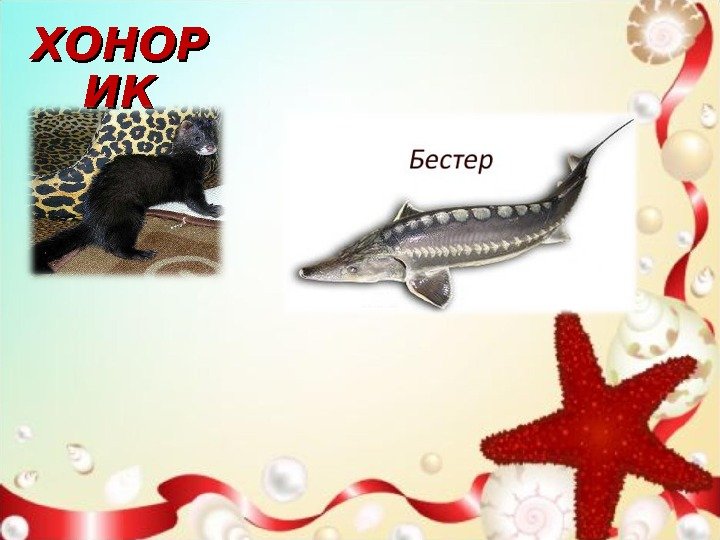 ХОНОР ИКИК 