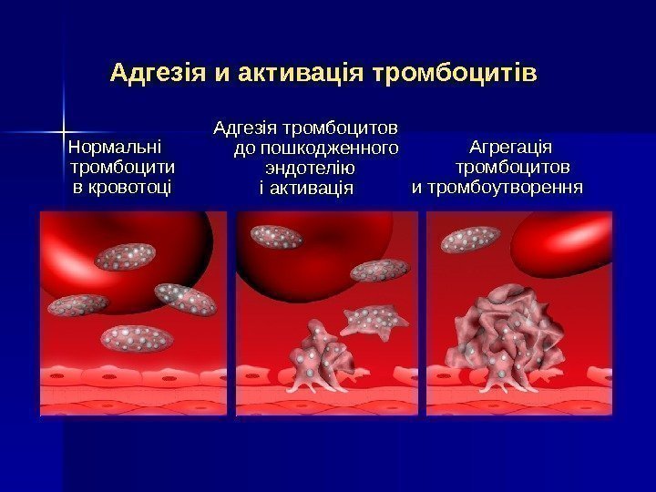   Адгезiя и активацiя тромбоцитiв Нормальнi тромбоцит и в кровото ц i Агрегацiя