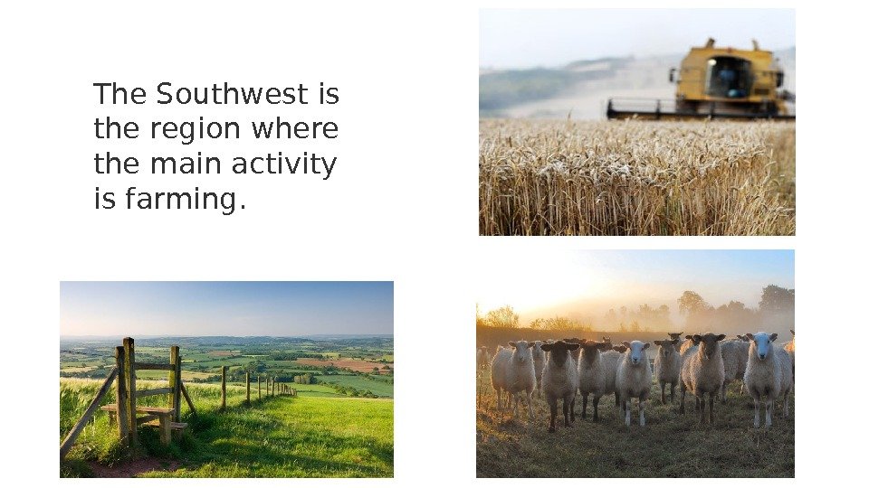 The Southwest is the region where the main activity is farming. 