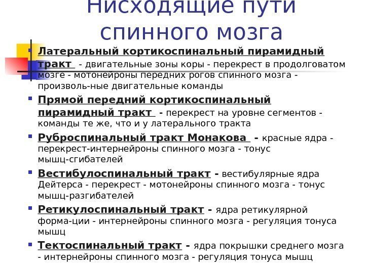   Нисходящие пути спинного мозга Латеральный кортикоспинальный пирамидный тракт  - двигательные зоны