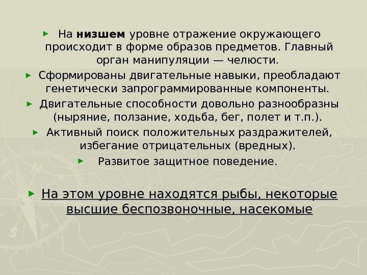 ► На На низшем уровне отражение окружающего происходит в форме образов предметов. Главный орган