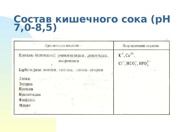   Состав кишечного сока ( p. H 7, 0 -8, 5) 