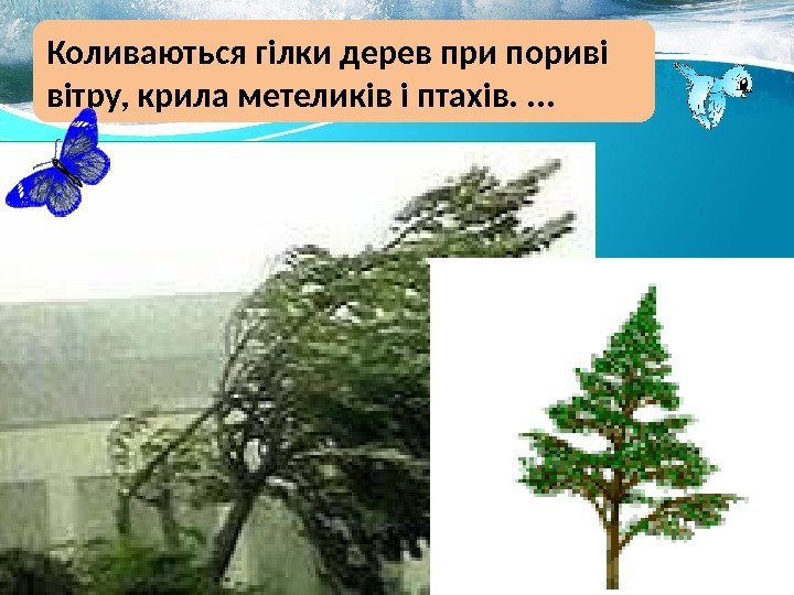 Коливаються гілки дерев при пориві вітру, крила метеликів і птахів. . 