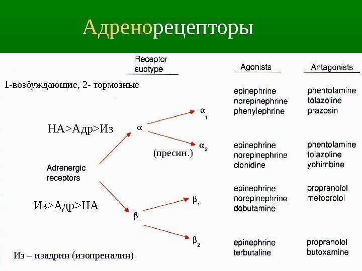 9 НА  Адр  Из Из  Адр  НА Из – изадрин