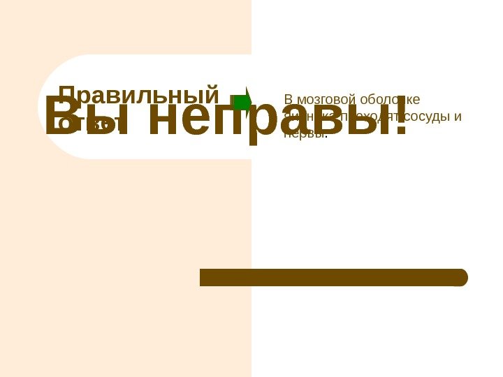 Вы неправы! Правильный ответ В мозговой оболочке яичника проходят сосуды и нервы. 