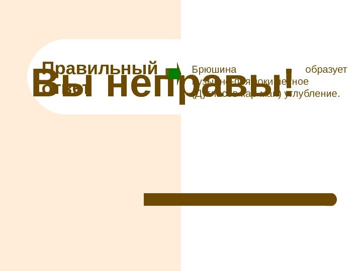 Вы неправы! Правильный ответ Брюшина образует пузырно-прямокишечное (Дугласов кар-ман) углубление. 