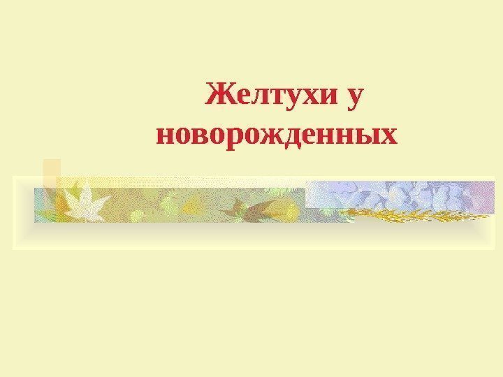   Желтухи у новорожденных 