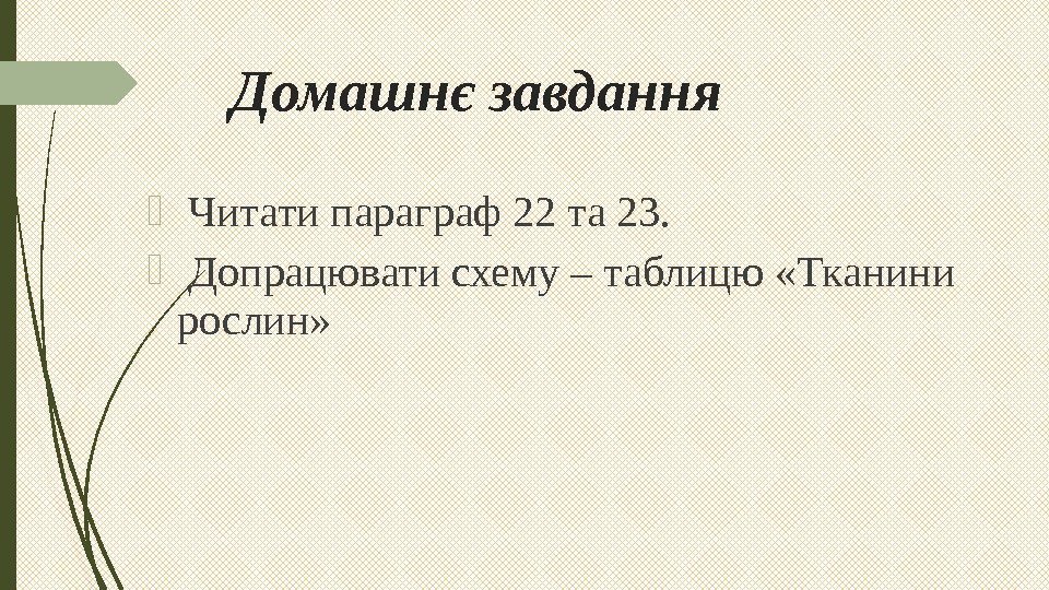 Домашнє завдання  Читати параграф 22 та 23. Допрацювати схему – таблицю «Тканини рослин»